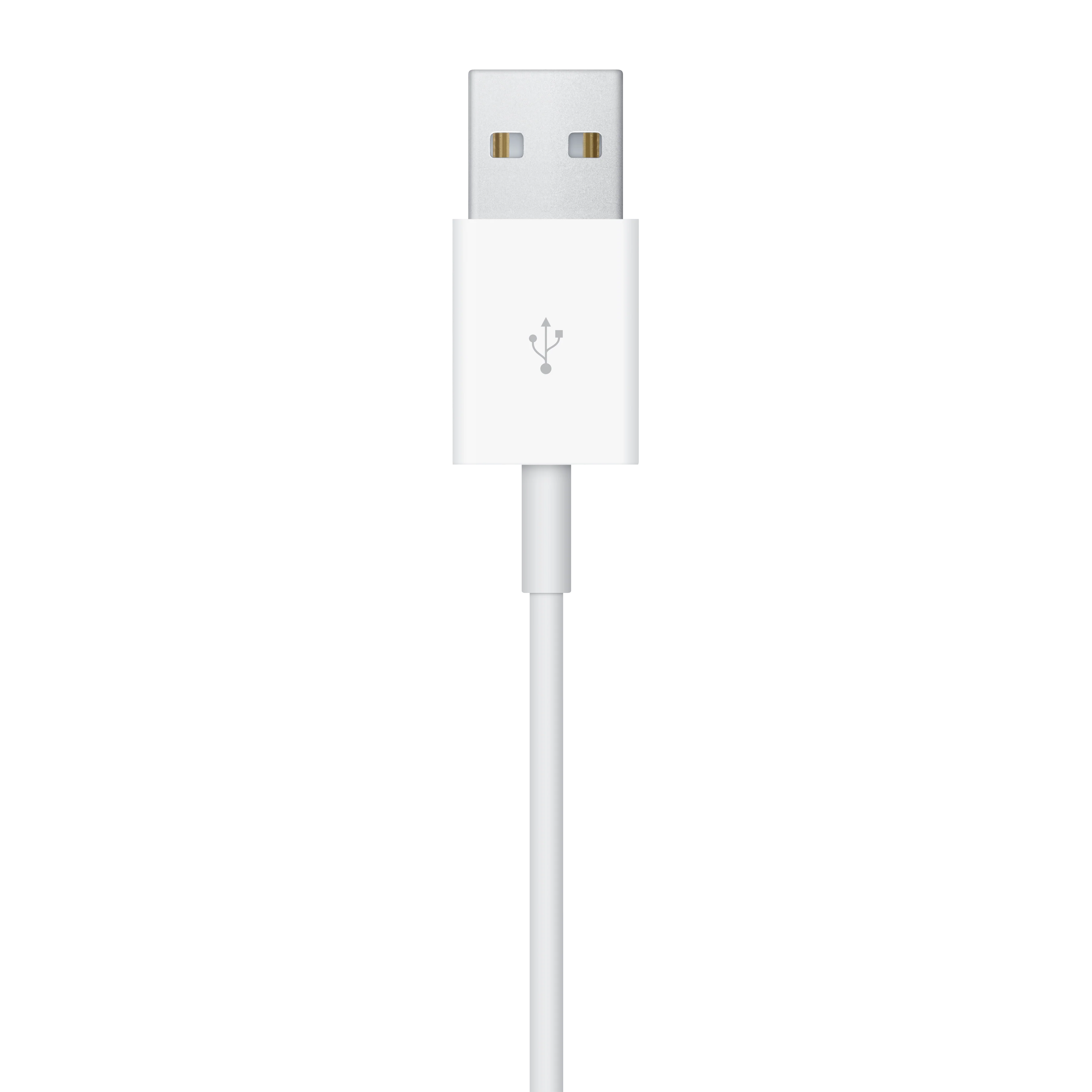 Cabo de carregamento magnético para Apple Watch USB-A (2 m) - Image 4