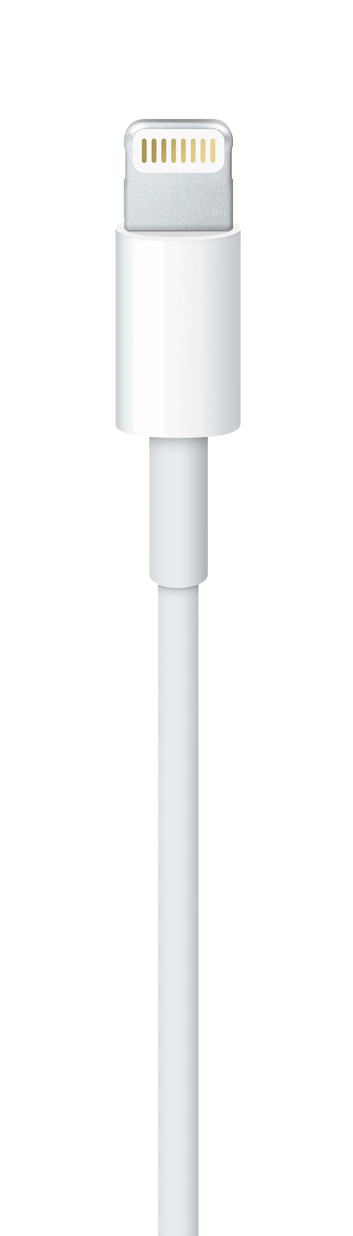 Cabo adaptador Lightning para USB (1 m) - Image 3