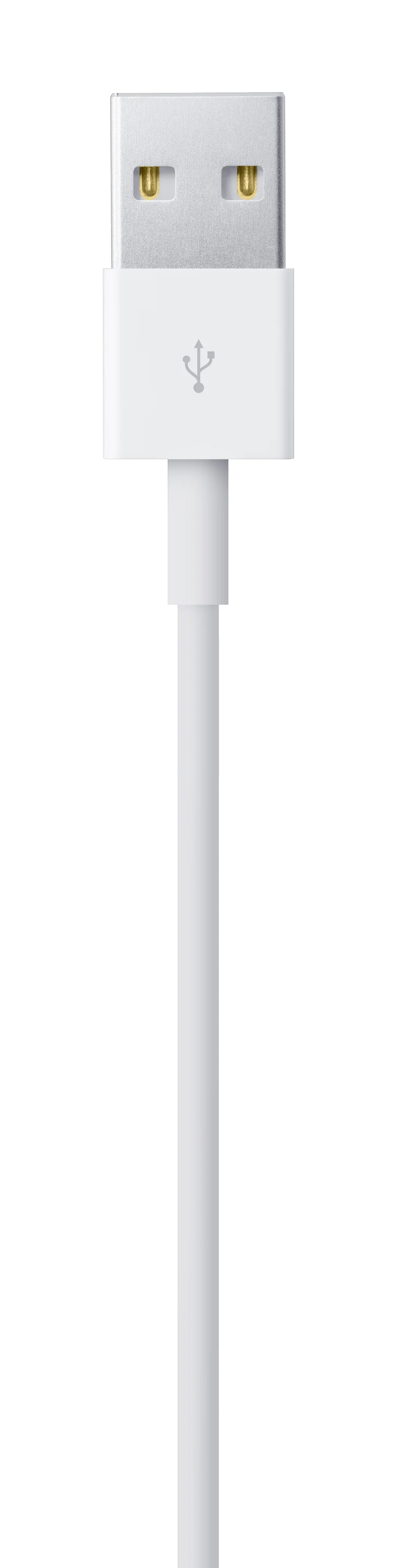 Cabo adaptador Lightning para USB (1 m) - Image 4