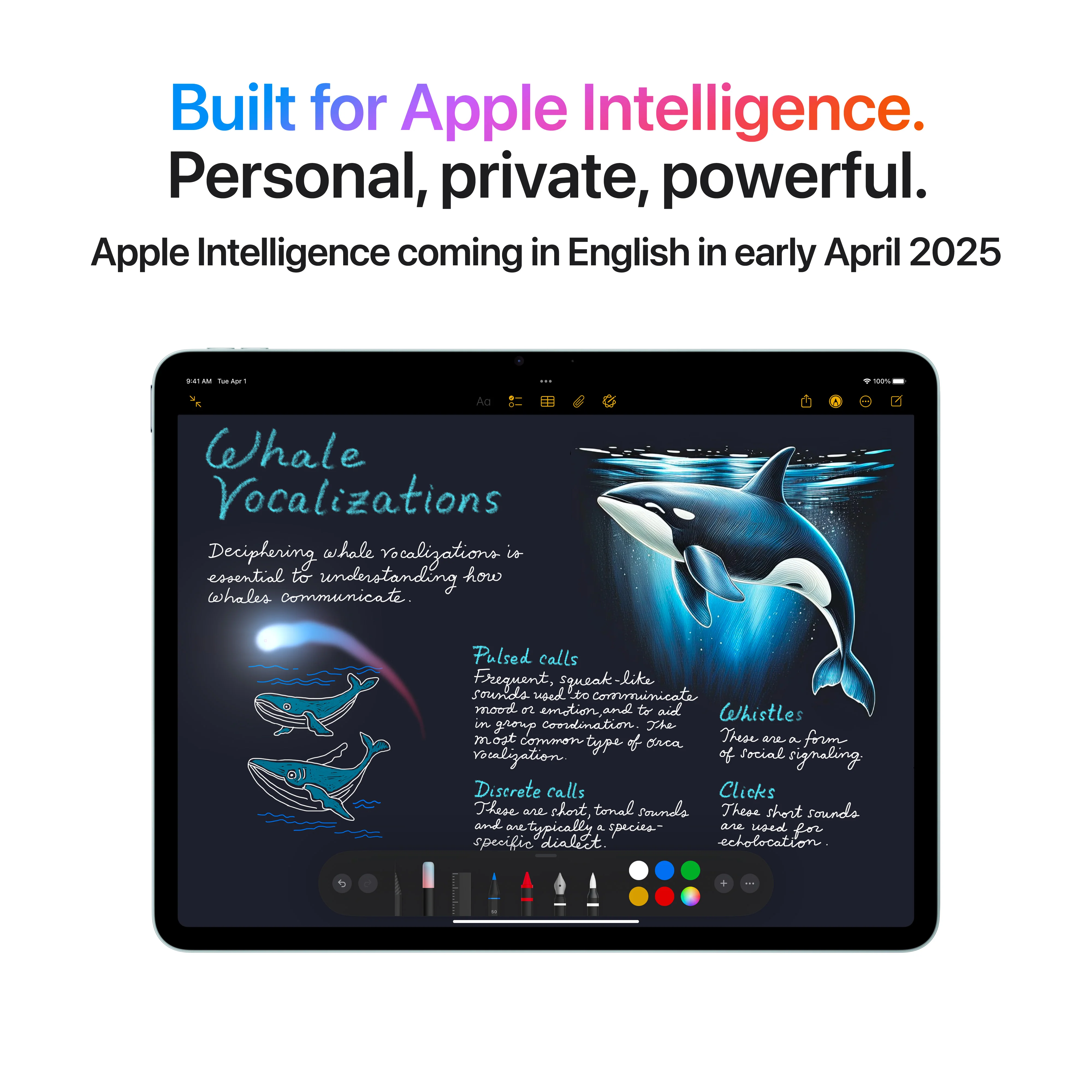 iPad Air de 13 polegadas Wi-Fi 256 GB - Azul (M3) - Image 5