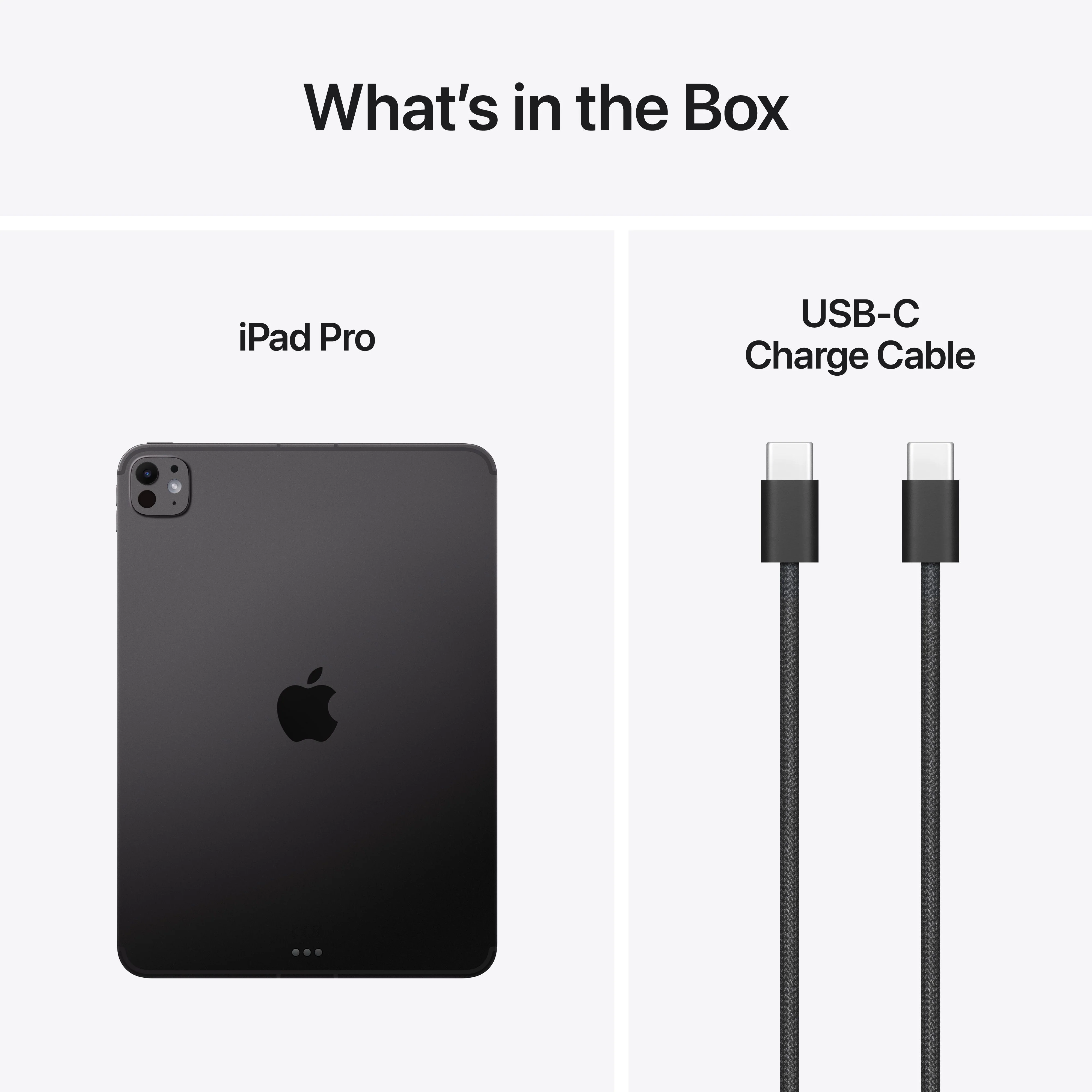 iPad Pro de 11 polegadas Wi-Fi + Cellular 256 GB Vidro padrão - Preto sideral (M5) - Image 9