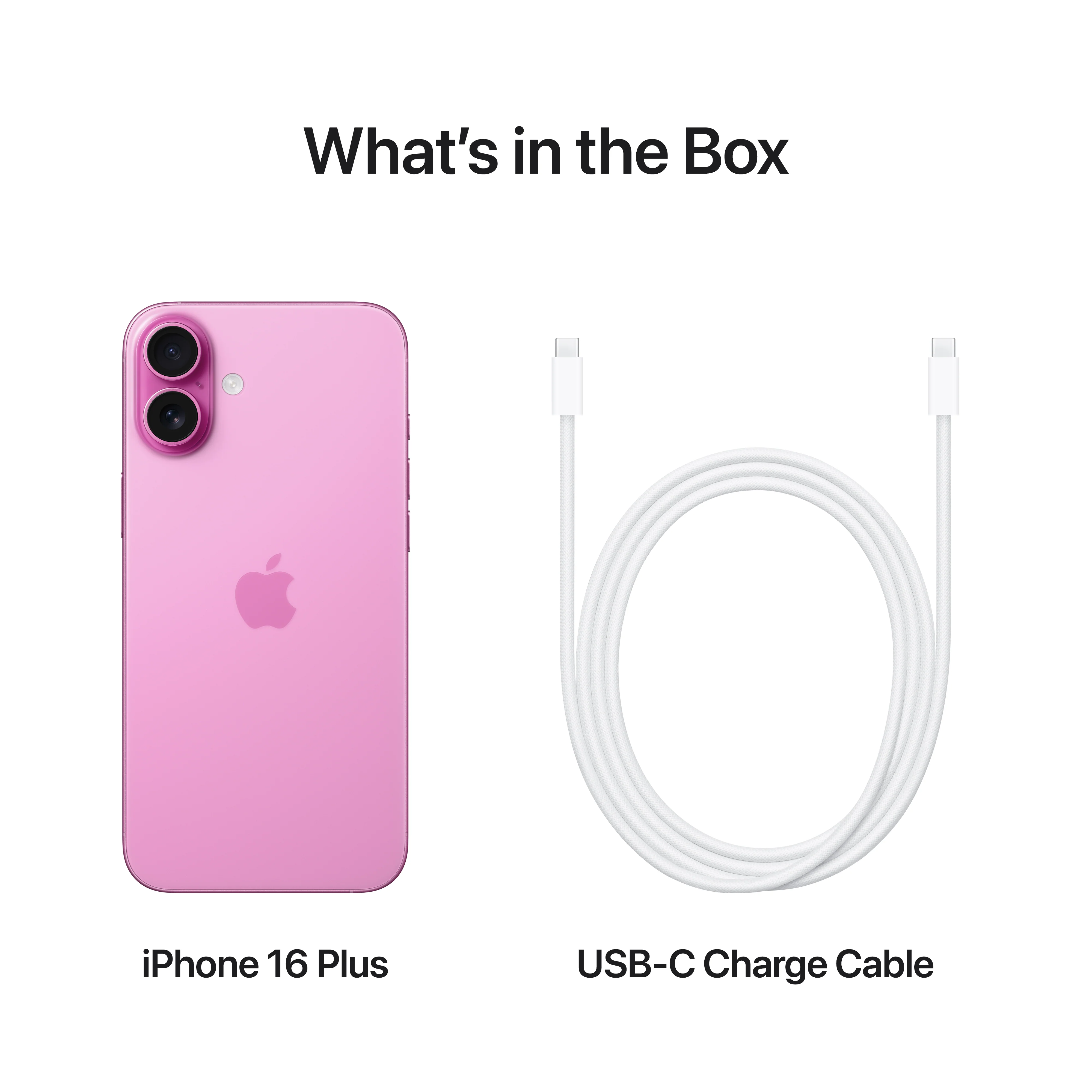 iPhone 16 Plus 256 GB Rosa - Image 10