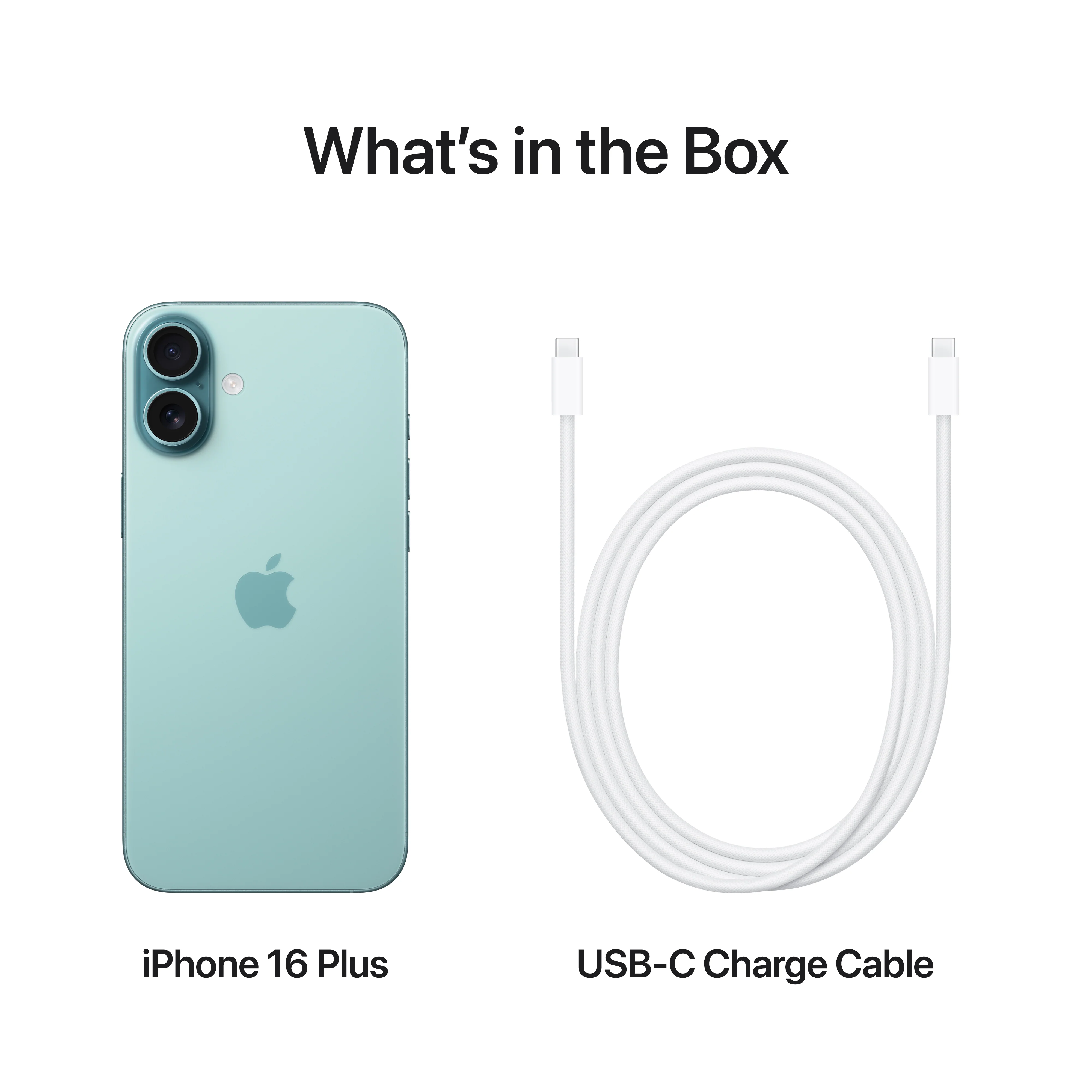 iPhone 16 Plus 256 GB Ciano - Image 10
