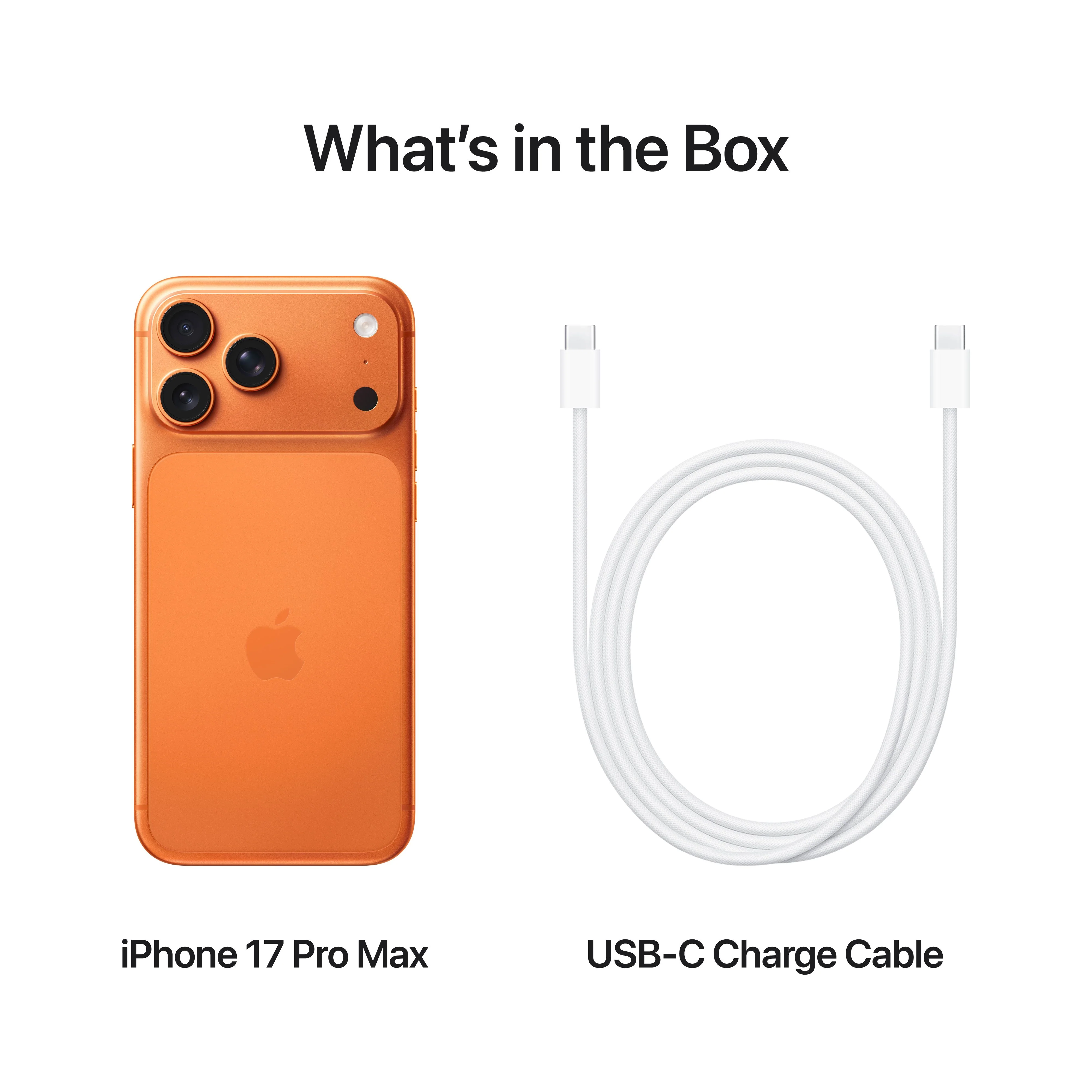 iPhone 17 Pro Max 2 TB Laranja cósmico - Image 8