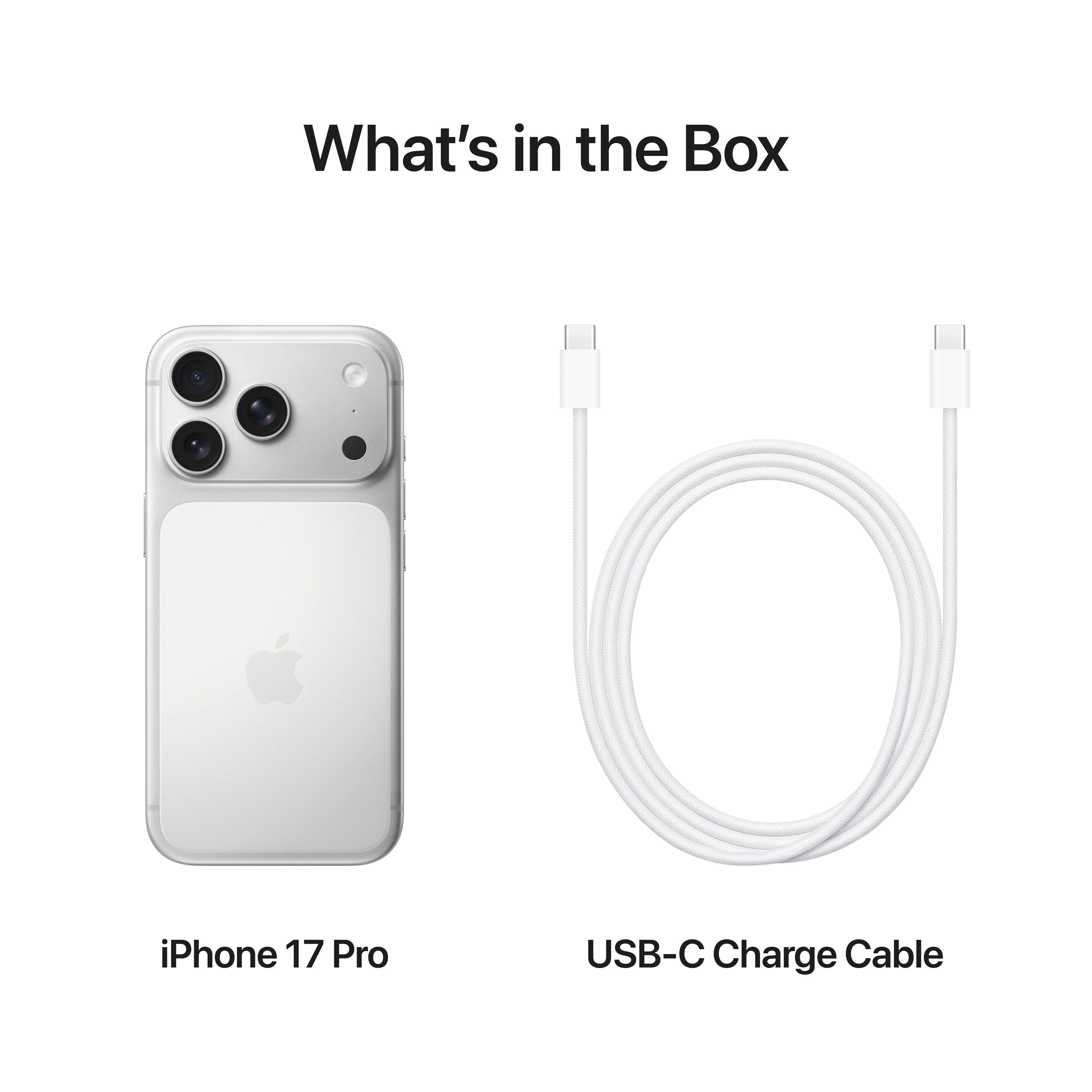 iPhone 17 Pro 1 TB Prateado - Image 8