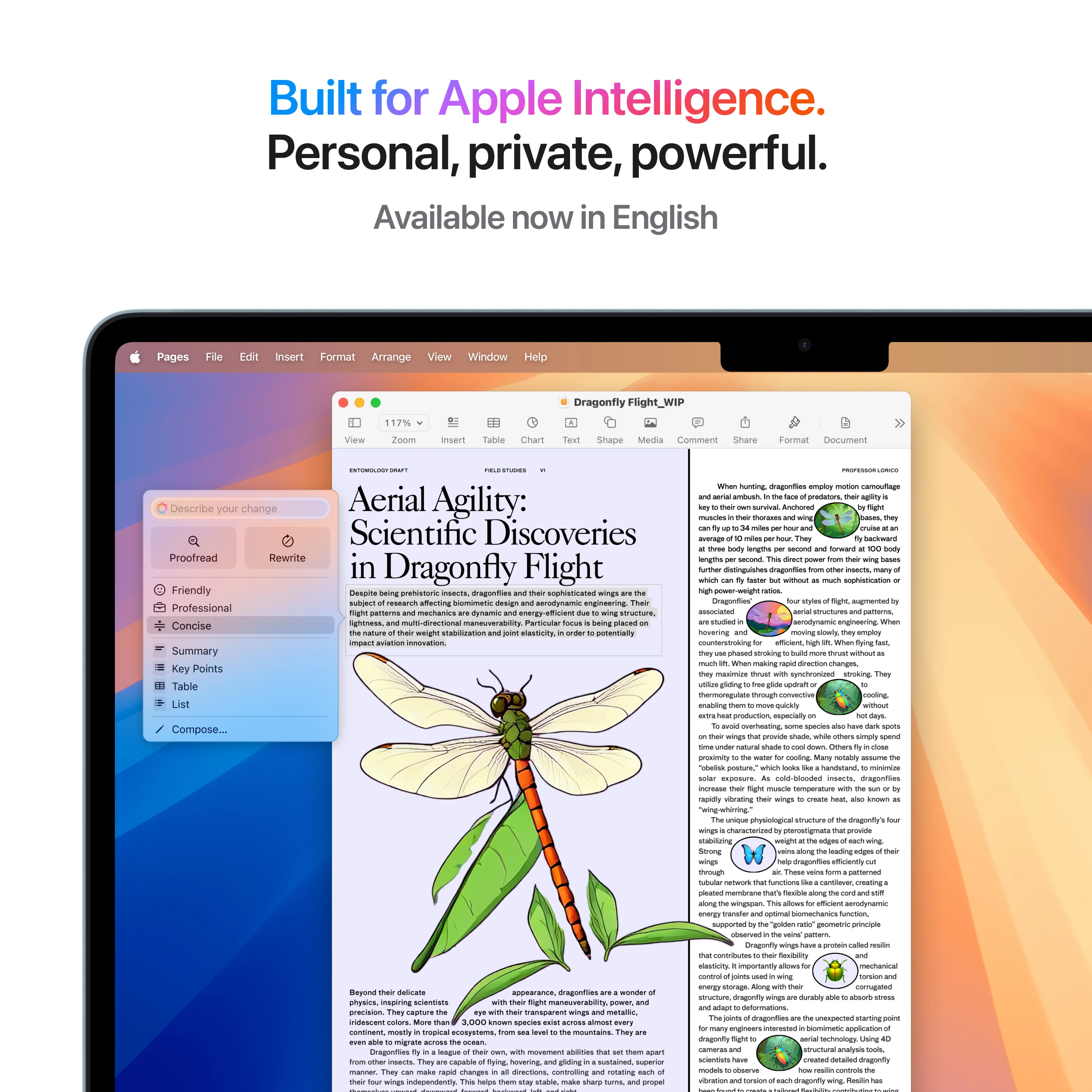 MacBook Air de 13 polegadas: Processador M4 da Apple com CPU 10‑core e GPU 10‑core, 512 GB SSD - Azul céu - Image 6